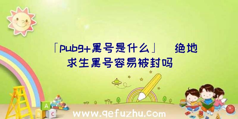 「pubg+黑号是什么」|绝地求生黑号容易被封吗